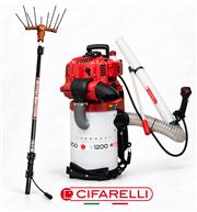 CIFARELLI ITALY